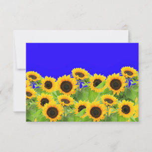 Sunflower Card Ukraine Flag Colours