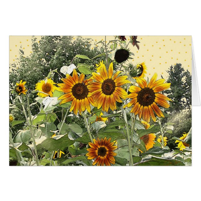 Sunflower Cards (Front Horizontal)