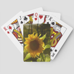 SunFlower Cards