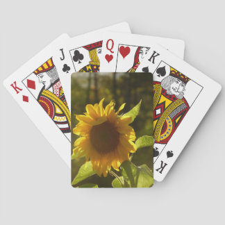 SunFlower Cards