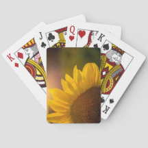 Sunflower Cards