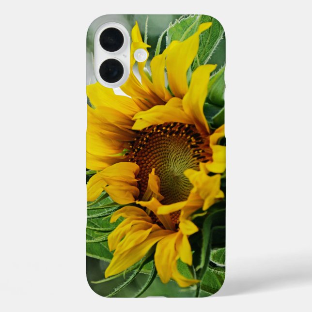 Sunflower Case-Mate iPhone Case (Back)