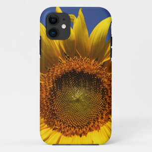 Sunflower iPhone 11 Case
