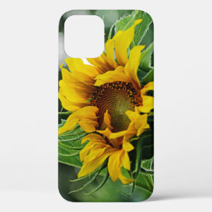 Sunflower iPhone 12 Case