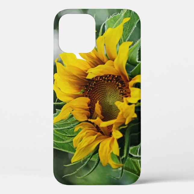 Sunflower Case-Mate iPhone Case (Back)