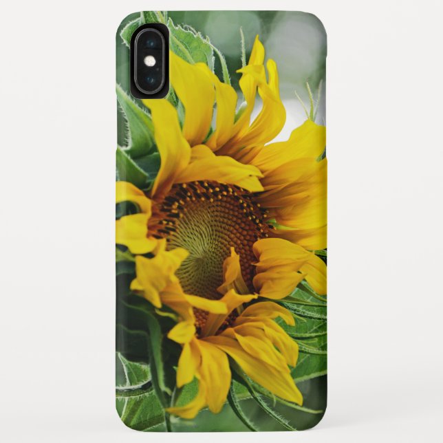 Sunflower Case-Mate iPhone Case (Back)