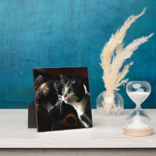 Sunflower & Cats Gift Wrap – Dramatic Feline Momen Plaque