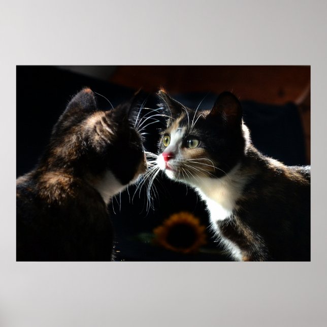 Sunflower & Cats Gift Wrap – Dramatic Feline Momen Poster (Front)