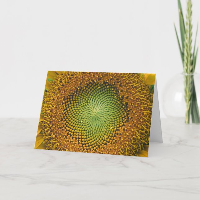 Sunflower Centre Close Up Note Card (Front)