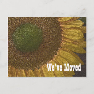 Sunflower Centre New Address Floral Postcard