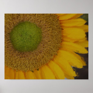 Sunflower Centre Photo Painting Flower Art  Poster