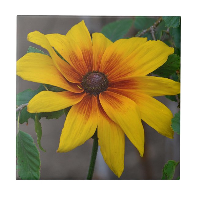 Sunflower Ceramic Tile (Front)