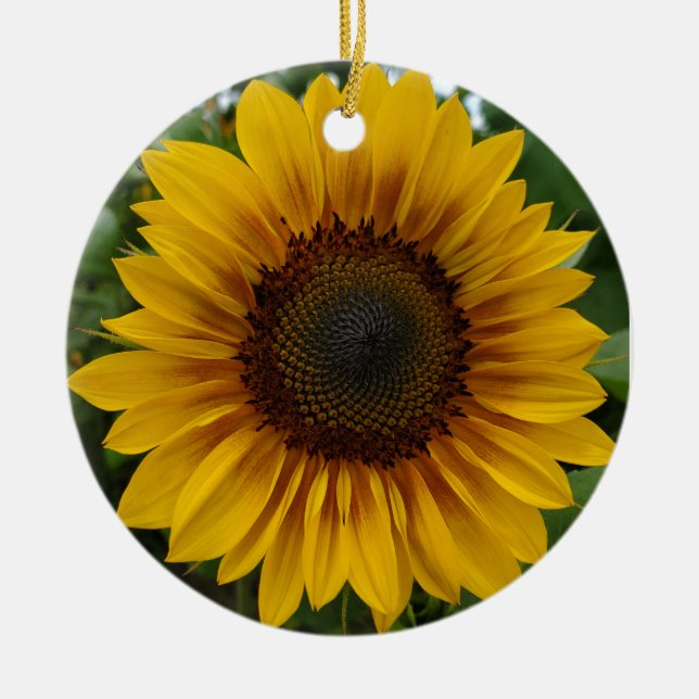 Sunflower  ceramic tree decoration (Front)