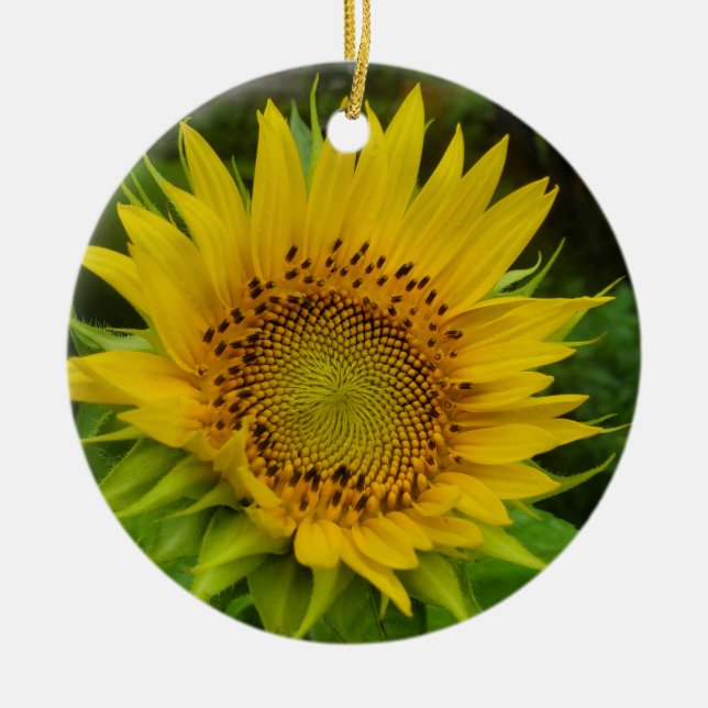 Sunflower  ceramic tree decoration (Front)