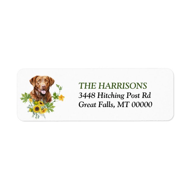 Sunflower Chesapeake Bay Retriever Dog Return (Front)