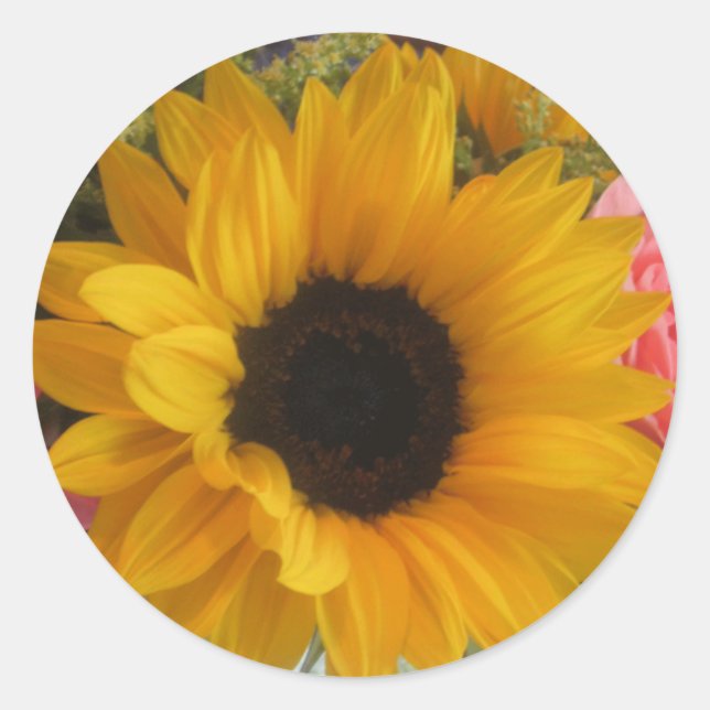 Sunflower Classic Round Sticker (Front)