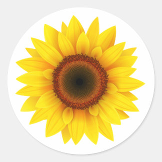 Sunflower Classic Round Sticker
