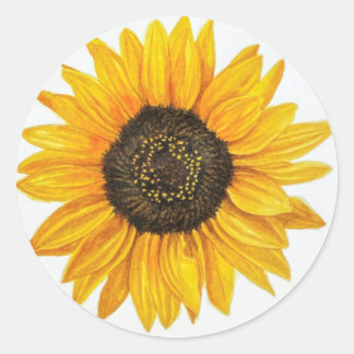 sunflower classic round sticker