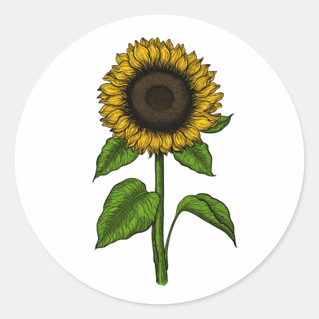 Sunflower Classic Round Sticker (Front)