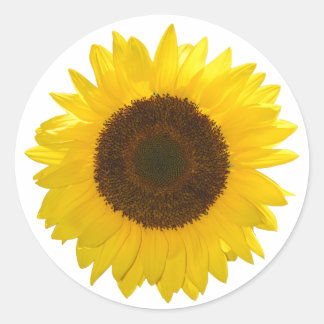 Sunflower Classic Round Sticker