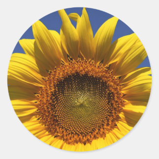 Sunflower Classic Round Sticker