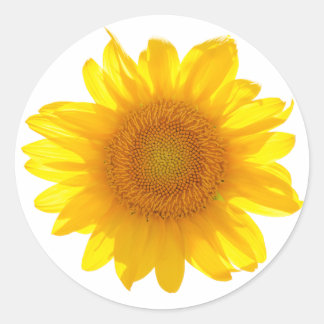 Sunflower Classic Round Sticker
