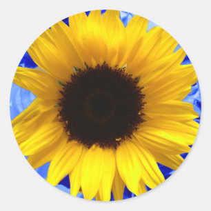 Sunflower Classic Round Sticker