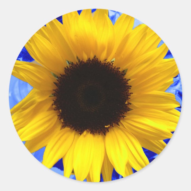 Sunflower Classic Round Sticker (Front)