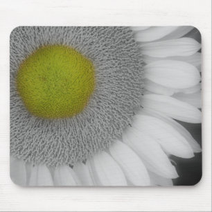Sunflower Close Up Black And White Mousepad