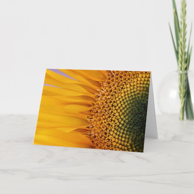 Sunflower Closeup Greeting Card (Blank Inside) (Front)