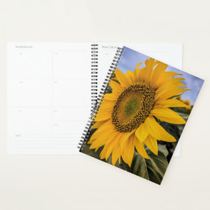 Sunflower Closeup Planner