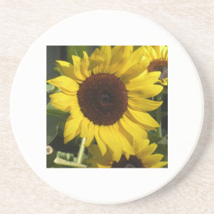 Sunflower Coaster