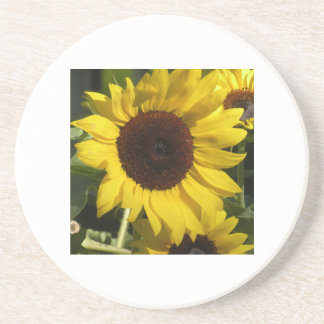 Sunflower Coaster