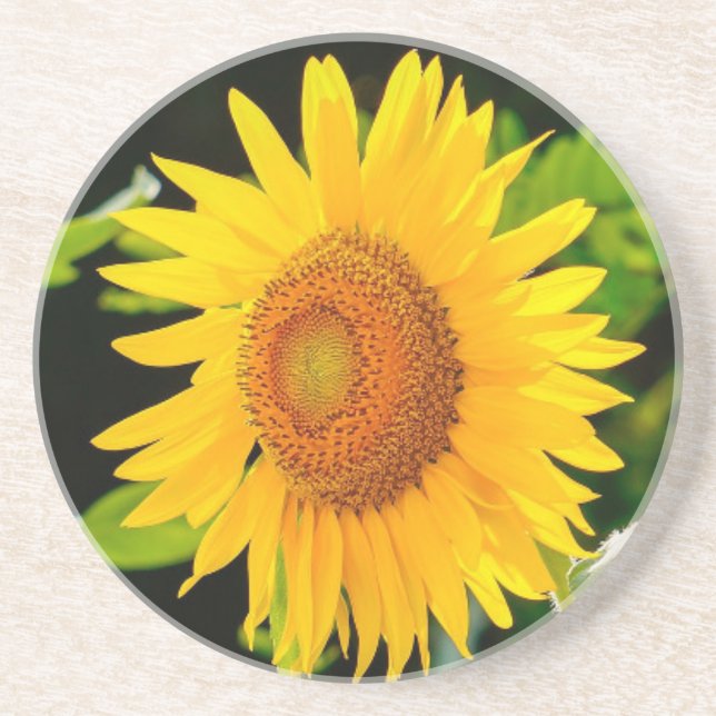 Sunflower Coaster (Front)