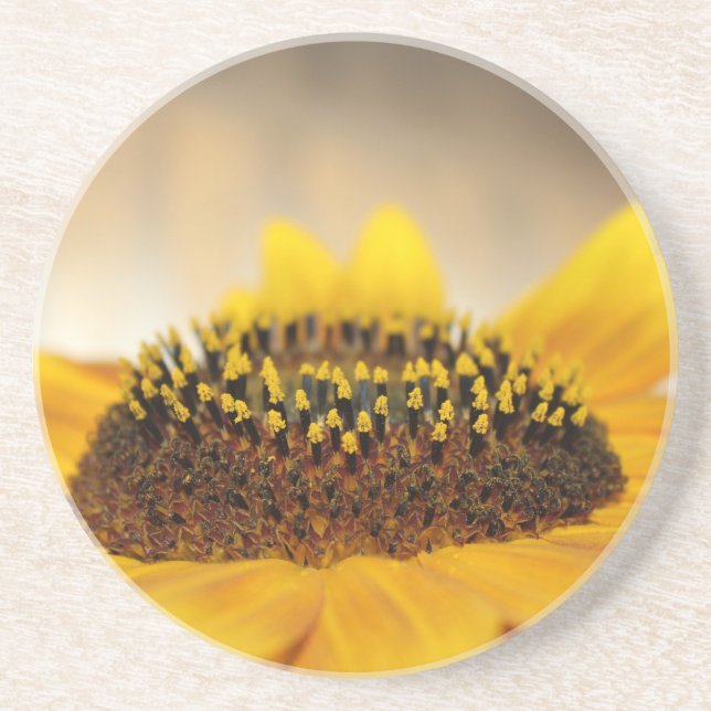 Sunflower Coaster (Front)
