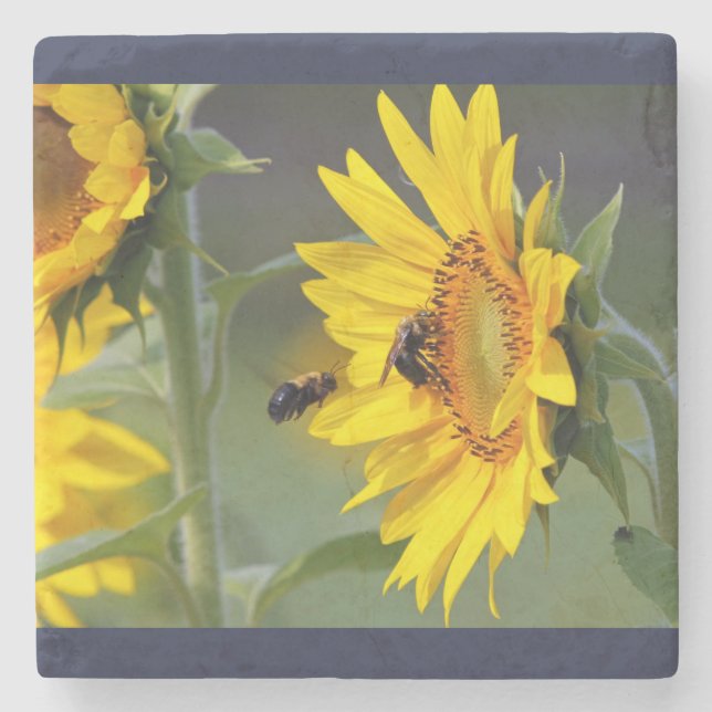 Sunflower coaster (Front)