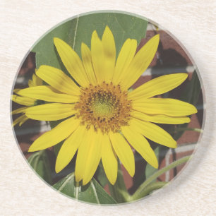 Sunflower Coaster