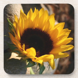 Sunflower Coaster