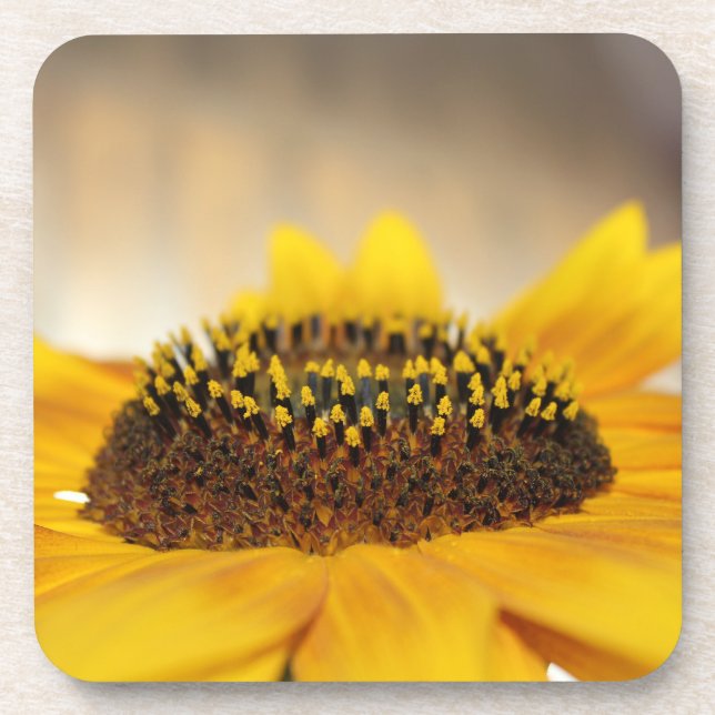 Sunflower Coaster (Front)
