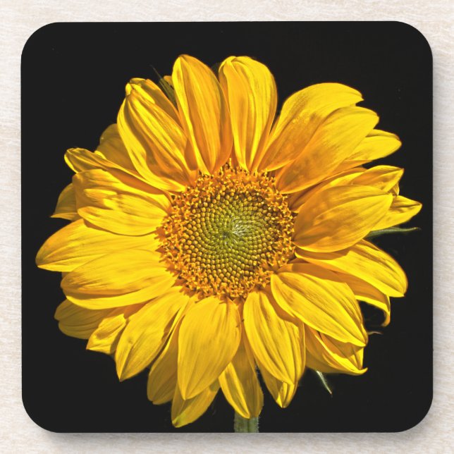 Sunflower coastercn beverage coaster (Front)