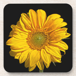 Sunflower coastercna coaster