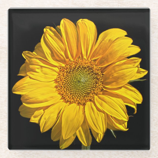 Sunflower coastercna glass coaster (Front)