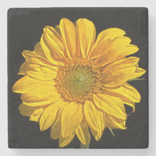 Sunflower coastercnm stone coaster