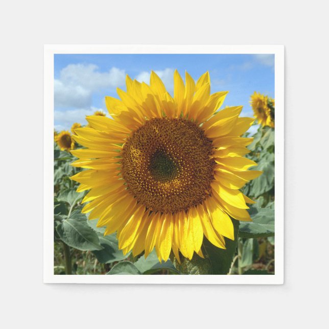 Sunflower Cocktail Paper Napkins (Front)