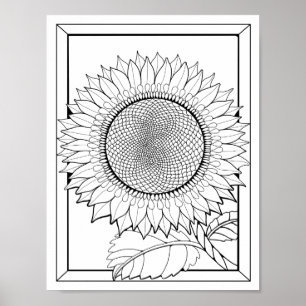 Sunflower Colouring Page Art Poster