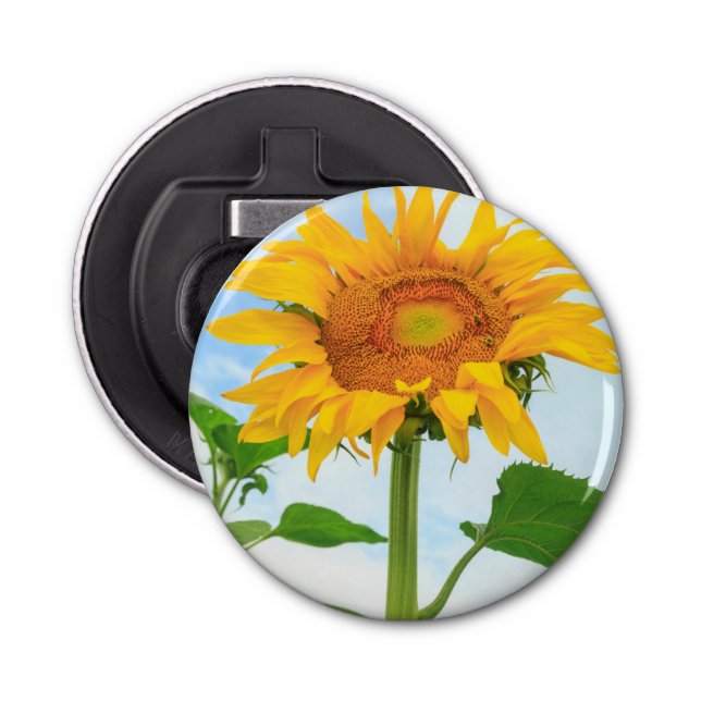 Sunflower, community garden, Moses Lake, WA, USA Bottle Opener (Front)