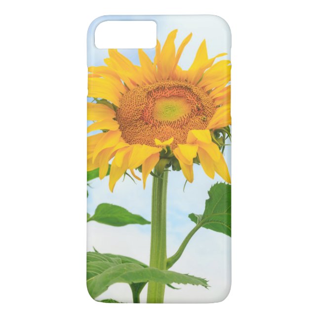 Sunflower, community garden, Moses Lake, WA, USA Case-Mate iPhone Case (Back)