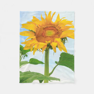 Sunflower, community garden, Moses Lake, WA, USA Fleece Blanket
