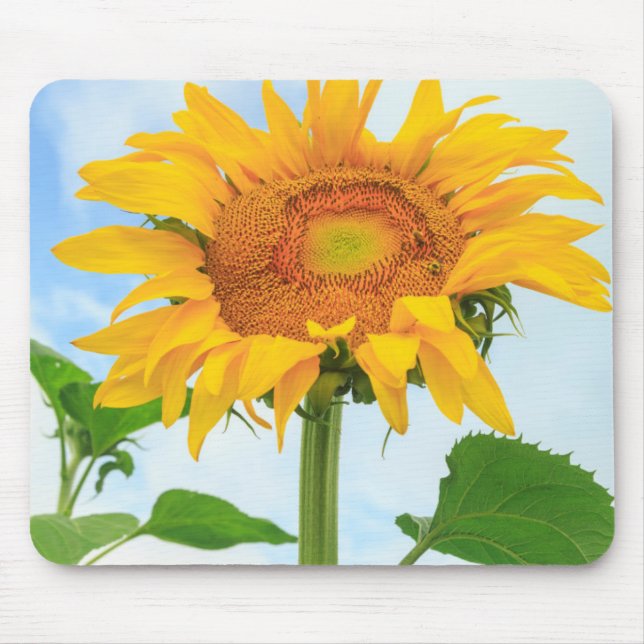 Sunflower, community garden, Moses Lake, WA, USA Mouse Mat (Front)