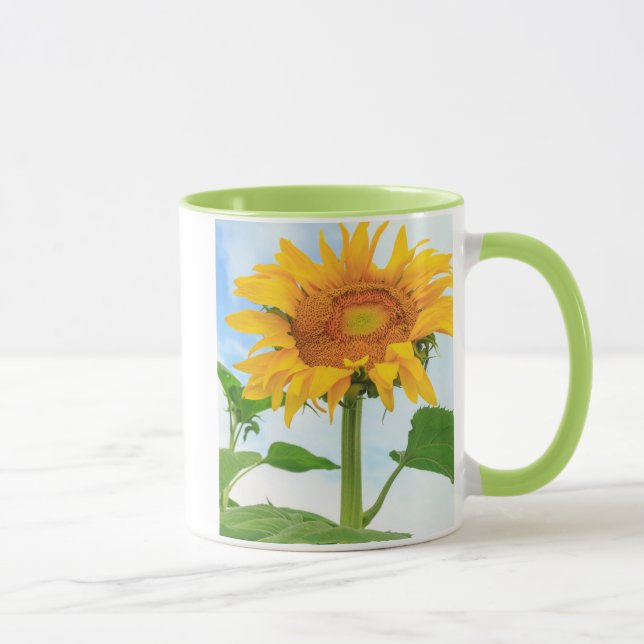 Sunflower, community garden, Moses Lake, WA, USA Mug (Right)